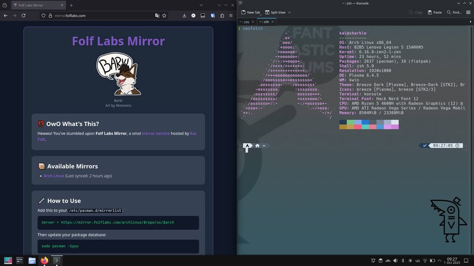 Folf Labs Mirror